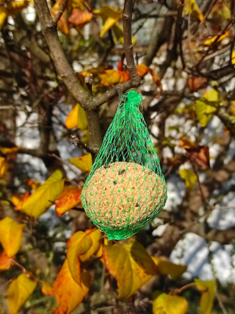 Kule Tłuszczowe Dla Ptaków w Siatce 90g x 100szt Happy Birds