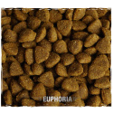 Karma Sucha Dla Psa Bezglutenowa z Jagnęciną Euphoria Gluten Free Junior Small & Medium 2kg Biofeed