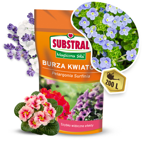 Nawóz Do Pelargonii Mineralny Koncentrat Krystaliczny 200g Magiczna Siła Substral