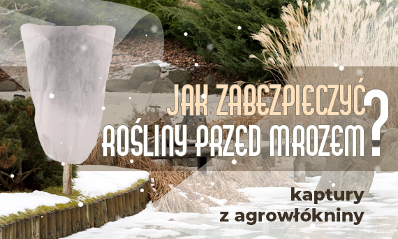 Kaptury z Agrowłókniny – kompleksowa ochrona Twoich roślin zimą!