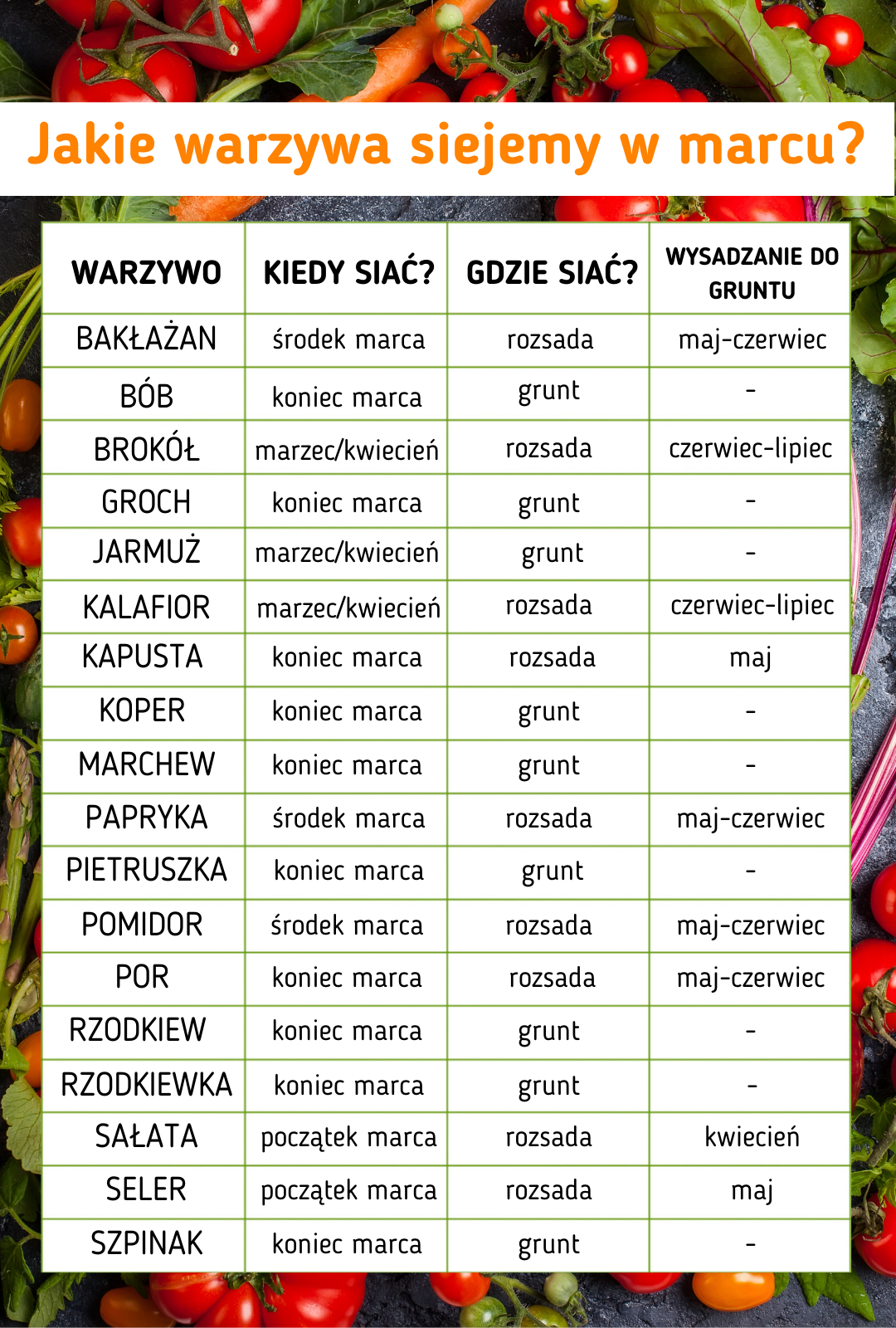 Jakie Warzywa Siejemy W Marcu Sklep Ogrodniczy Gardenflora Wszystko Do Ogrodu 5733