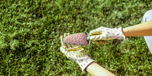 Jesienne Nawożenie Roślin Sklep Ogrodniczy Gardenflora Wszystko Do Ogrodu 9702