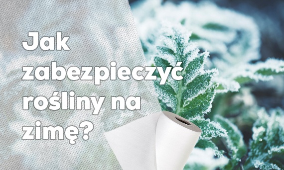 Jak zabezpieczyć ogród na zimę?